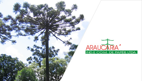 Araucária